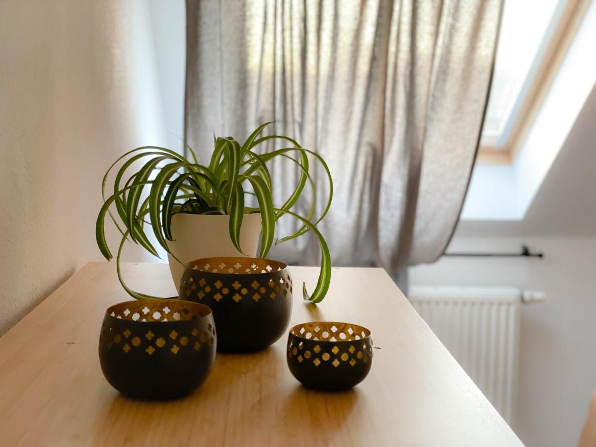 Ferienwohnung Hintermoos Kißlegg Zewnętrze zdjęcie